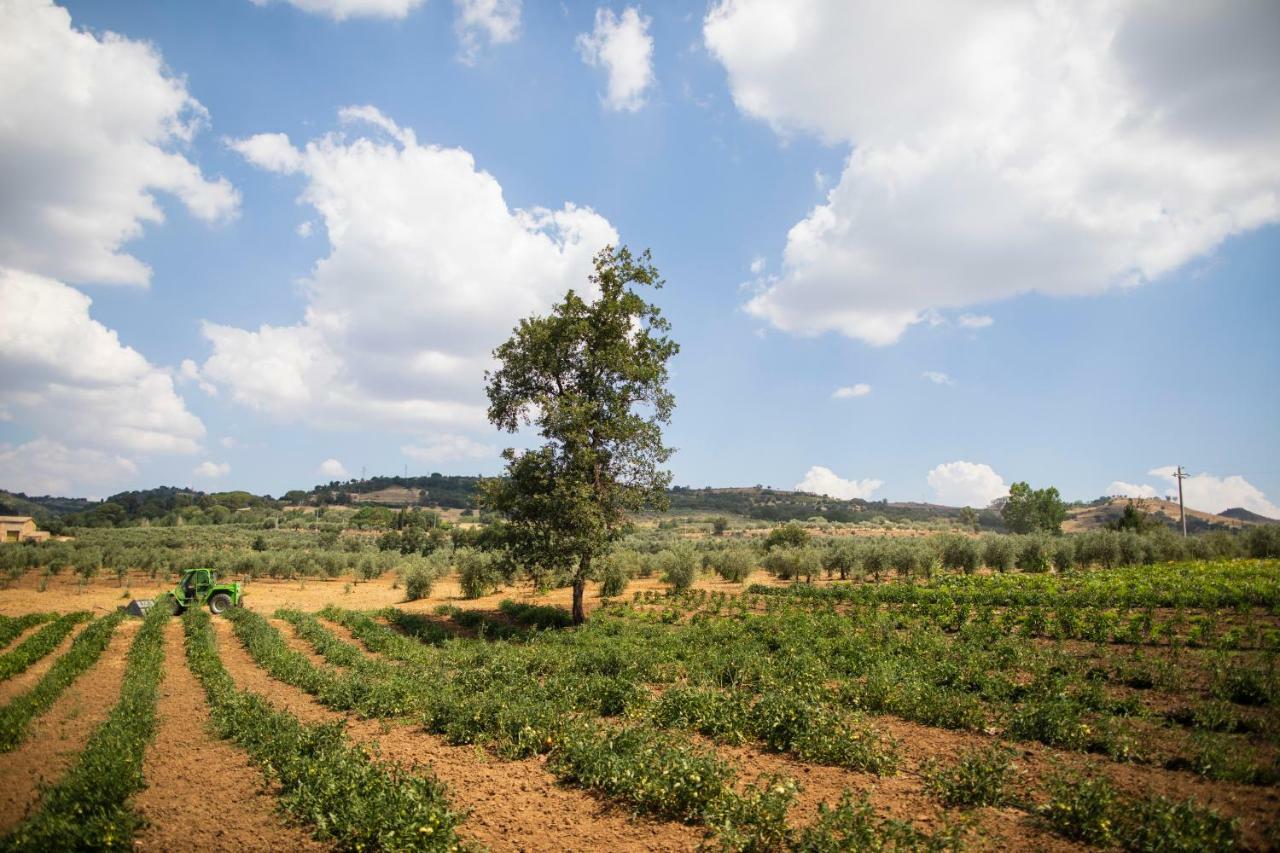 Leano Agriresort เปียซซา อาร์เมรีนา ภายนอก รูปภาพ